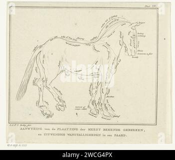 Anatomy van Horse mit möglichen Defekten in der Körperhaltung, Johannes le Francq van Berkhey, 1739 - 1812 Druck Leiden Papier mit Gravur fabelhafter Tiere (manchmal falsch als 'Grotesken' bezeichnet); 'Mostri' (Ripa) (+ bestimmte anatomische Details). Pferd Stockfoto