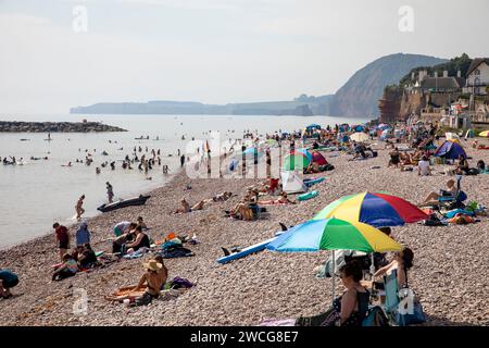 Sidmouth Beach in Devon, 2023, heißer Herbsttag und die Leute entspannen und schwimmen am Steinschindelstrand, Sidmouth Coast, England, Großbritannien Stockfoto