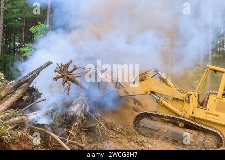 Der Wald wurde während der Vorbereitung von Land für den Bau von Häusern durch umgestürzte Bäume verbrannt Stockfoto