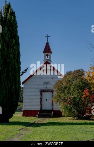 New Zealand-Nordinsel Stockfoto