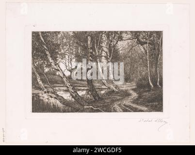 Landschaft mit Birke entlang eines Ufers, Alfred Elsen, 1860 - 1910 Druckpapier graviert Waldweg oder Gasse. Bäume: Birke. See Stockfoto