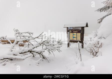 Winterwanderung um den Oderteich Bilder aus dem winterlichen Nationalpark Harz Niedersachsen Stockfoto