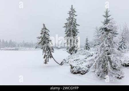 Winterwanderung um den Oderteich Bilder aus dem winterlichen Nationalpark Harz Niedersachsen Stockfoto