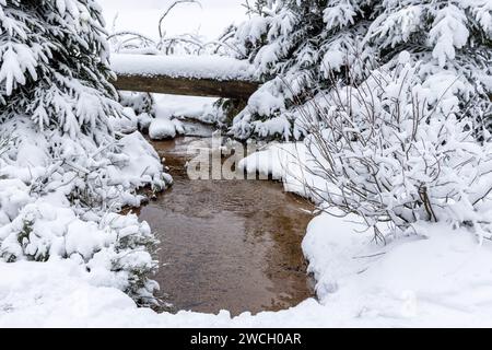 Winterwanderung um den Oderteich Bilder aus dem winterlichen Nationalpark Harz Niedersachsen Stockfoto