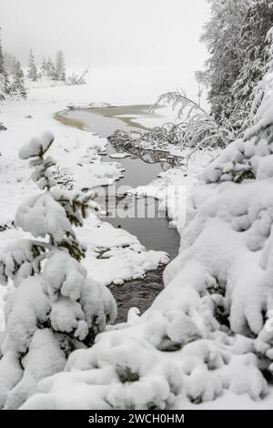 Winterwanderung um den Oderteich Bilder aus dem winterlichen Nationalpark Harz Niedersachsen Stockfoto