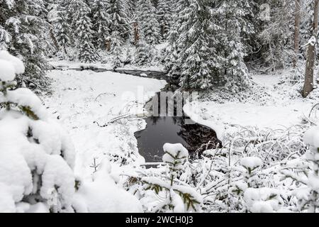 Winterwanderung um den Oderteich Bilder aus dem winterlichen Nationalpark Harz Niedersachsen Stockfoto