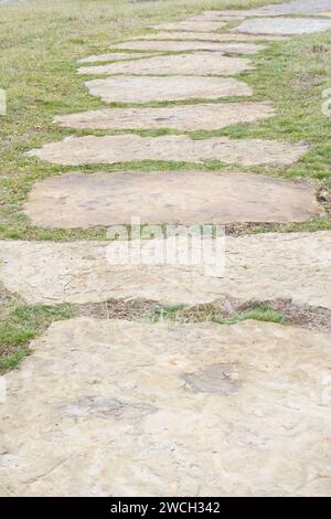 Ein malerischer Pfad, der sich durch üppiges grünes Gras schlängelt Stockfoto