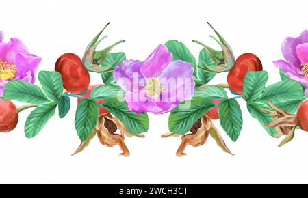 Hagebutte, Blumen, Blätter, Beeren, nahtloser Rand. Grafische Abbildung isoliert auf weißem Hintergrund. Karten, Einladungen, Banner, Etiketten, Verpackungen. Stockfoto
