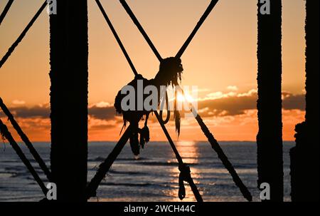 Brighton UK 16. Januar 2024 - Ein Schwimmer fährt an einem eiskalten Morgen am Brighton Palace Pier ins Meer, wenn die Sonne aufgeht und Schnee für einige Teile Großbritanniens prognostiziert wird: Credit Simon Dack / Alamy Live News Stockfoto