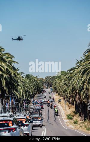 Adelaide, Australien. Januar 2024. Bild von Zac Williams/SWpix.com - 16/01/2024 - Radfahren - 2024 Tour Down Under - Stufe 1: Tanunda-Tanunda (144 km) - das Feld während der ersten Phase. Quelle: SWpix/Alamy Live News Stockfoto