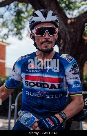 Adelaide, Australien. Januar 2024. Bild von Zac Williams/SWpix.com - 16/01/2024 - Radfahren - 2024 Tour Down Under - Stufe 1: Tanunda-Tanunda (144 km) - Julian Alaphilippe, Soudal Quickstep. Quelle: SWpix/Alamy Live News Stockfoto