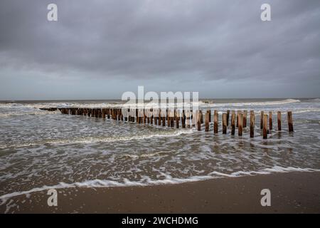 Goyne am Strand zwischen Oostkapelle und Domburg auf Walcheren, Zeeland, Niederlande. Buhne am Strand zwischen Oostkapelle und Domburg auf Walcheren Stockfoto