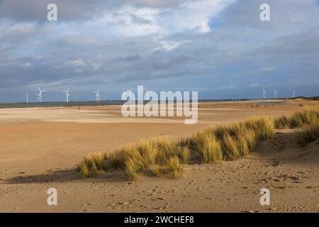 Der Strand am Vrouwenpolder auf Walcheren, im Hintergrund die östliche Scheldsperre und Windräder, Zeeland, Niederlande. Der Strand bei Vrouw Stockfoto