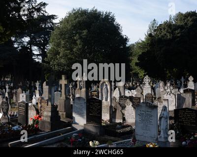 Der historische Glasnevin Friedhof in Dublin, Irland. Stockfoto