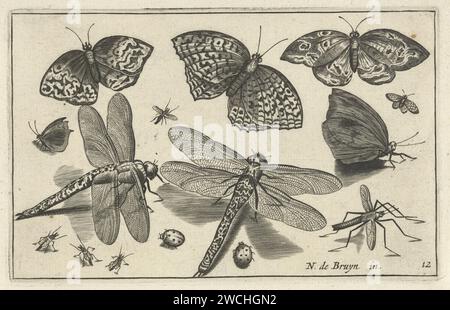 Schmetterlinge und Libellen, Anonym, nach Nicolaes de Bruyn, 1594 - 1644 Druckpapier Gravur Insekten: Schmetterling. Insekten: drachenfliege. Insekten: Marienkäfer Stockfoto
