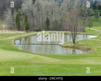 Ein wunderschöner herzförmiger See, umgeben von Bäumen auf einem grünen Feld Stockfoto