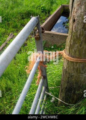 Landwirte Universal fixieren alle, orangefarbenen Garne, die das Feldtor geschlossen halten. Stockfoto