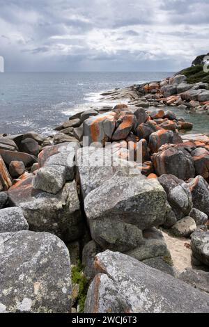 Orangefarbene Granitfelsen in der Bay of Fires an der Nordostküste Tasmaniens, Australien Stockfoto