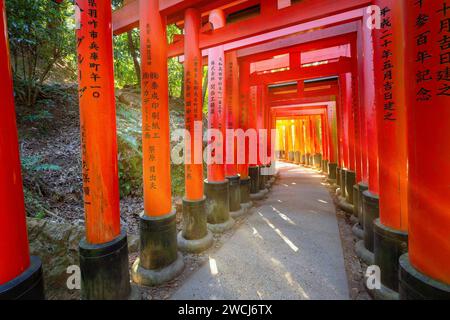 Kyoto, Japan - 1. April 2023: Fushimi Inari-taisha, erbaut im Jahr 1499, ist es das Symbol eines Weges, der von Tausenden von Torii-Toren mit malerischer, voller Blüte gesäumt ist Stockfoto