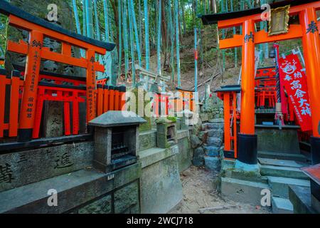 Kyoto, Japan - 1. April 2023: Fushimi Inari-taisha, erbaut im Jahr 1499, ist es das Symbol eines Weges, der von Tausenden von Torii-Toren mit malerischer, voller Blüte gesäumt ist Stockfoto