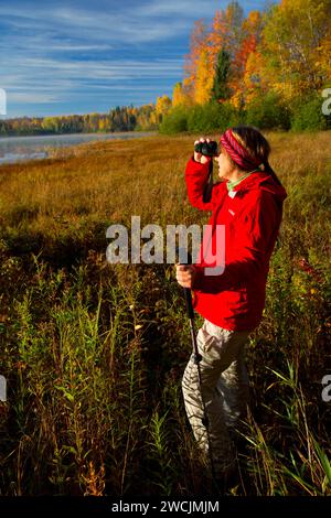 Birding entlang Barsch Lake Trail, Chequamegon-Nicolet National Forest, Wisconsin Stockfoto