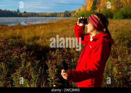 Birding entlang Barsch Lake Trail, Chequamegon-Nicolet National Forest, Wisconsin Stockfoto