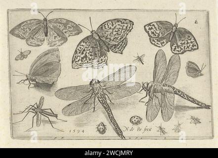 Schmetterlinge und Libellen, Nicolaes de Bruyn, 1594 Druck Antwerpener Papier Gravur Insekten: Schmetterling. Insekten: drachenfliege Stockfoto