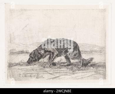 Suchender Hund, Elias stark, 1888-Druck-Nieuwer-Amstel-Papier. Ätzhund Stockfoto