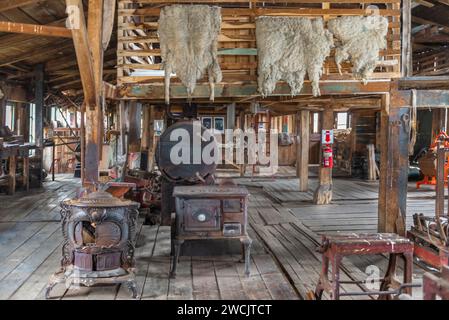 Harberton Ranch, Tierra del Fuego, Usuahia, Beagle Channel, Argentinien Stockfoto