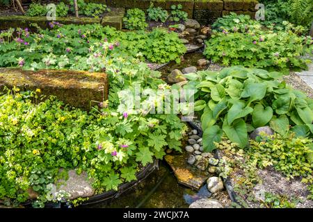 Kleiner Zierwasserstrom mit Felsen im Garten mit Geranien und phlomis, Niederlande Stockfoto