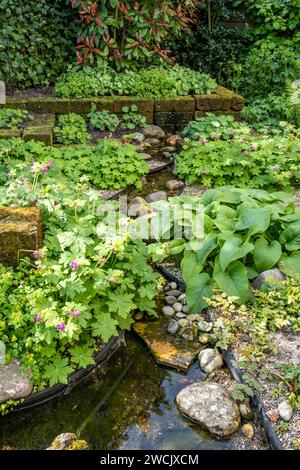 Kleiner Zierwasserstrom mit Felsen im Garten mit Geranien und phlomis, Niederlande Stockfoto