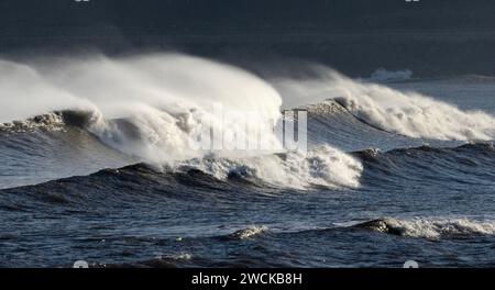 Winterstürme aus nördlicher Richtung entfachen bald große Wellen, die in die Yorkshire Coast stürzen und eine verstärkte Erosion der Klippen verursachen. Stockfoto