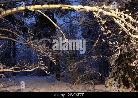 Atemberaubende Winterbilder aus einer wunderschönen Natur. Schnee auf den Bäumen vor einem wunderbaren Himmel sorgt für dieses fantastische Foto. Perfekt als Hintergrund Stockfoto