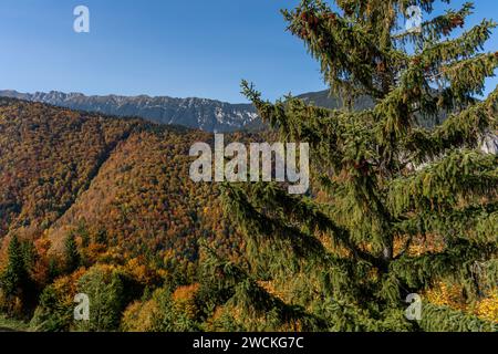 Dieses atemberaubende Luftbild fängt die atemberaubende Schönheit der Herbstsaison in einer bergigen Landschaft ein Stockfoto