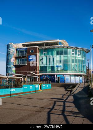 Westfassade des National Marine Aquarium, Sutton Harbour, Plymouth bei Sonnenschein im Januar. Stockfoto