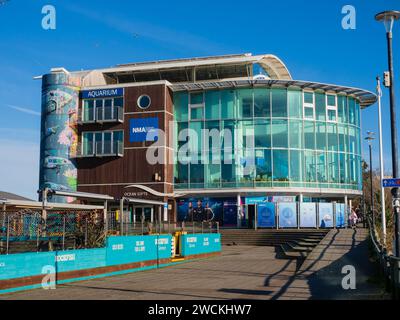 Westfassade des National Marine Aquarium, Sutton Harbour, Plymouth bei Sonnenschein im Januar. Stockfoto