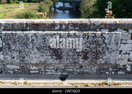 Blick auf die Beam Aqueduct Wall über den River Torridge mit Flechten bedeckte Widmungsplakette und den entfernten Tarka Trail, flussabwärts. Stockfoto