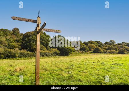 Detail eines hölzernen Wegweisers oder Way Markers in Reeds Field auf Torrington Commons mit Fußweg und Woodland mit Blue Sky. Stockfoto