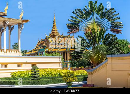 Der Mondscheinpavillon, gegenüber der Thronhalle, mit fächerförmigen Palmen, im Königspalast in Phnom Penh, Kambodscha Stockfoto