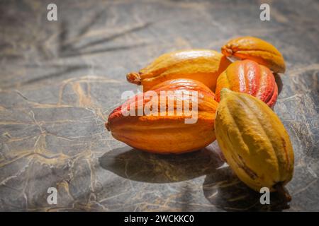 Kakaoschoten Stillleben schließen ganze organische Marmorbambus im Hintergrund Stockfoto
