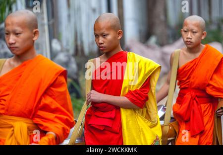 Frühmorgendliches Ritual der Almosengabe (Sai bat) zu einer Prozession der Mönche, Luang Prabang, Laos Stockfoto