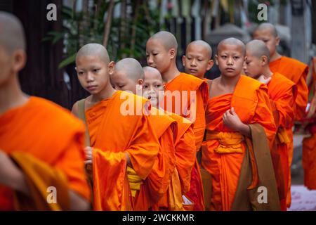 Frühmorgendliches Ritual der Almosengabe (Sai bat) zu einer Prozession der Mönche, Luang Prabang, Laos Stockfoto