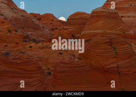 Monduntergang über Sandsteinen in Coyote Buttes North, Arizona Stockfoto