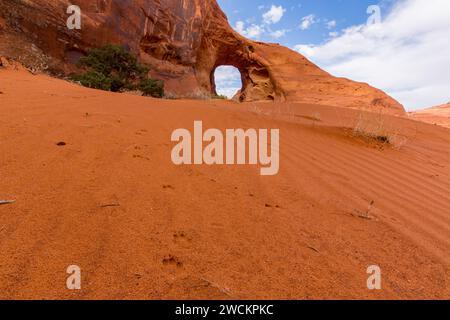 Kojotenbahnen im Sand vor dem Ear of the Wind Arch im Monument Valley Navajo Tribal Park in Arizona. Stockfoto