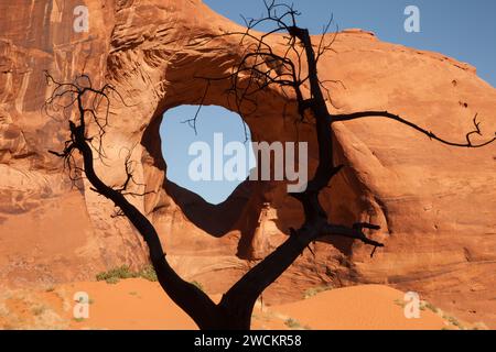 Ein toter Snag umrahmt das Ohr des Windbogens im Monument Navajo Valley Tribal Park, Arizona. Stockfoto