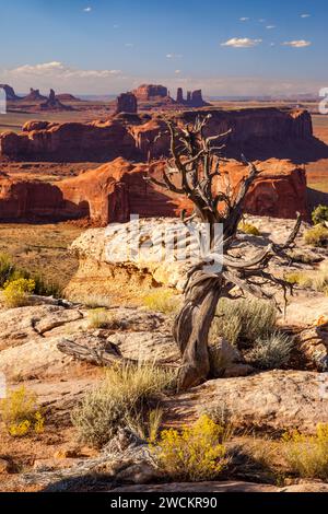 Toter wacholderbaum auf Hunt's Mesa mit Monument Valley dahinter im Monument Valley Navajo Tribal Park in Arizona. Stockfoto