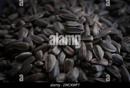 Ein Haufen Sonnenblumenkerne. Nahaufnahme. Stockfoto