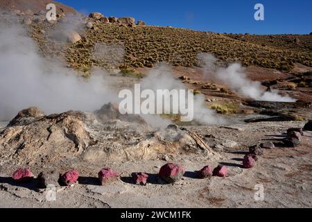 Dampf steigt aus dem Boden, mit Hügeln und blauem Himmel dahinter, in Geysers Del Tatio, Antofagasta, Chile. Stockfoto