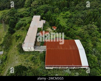 Verlassener Industriekomplex Inmitten Des Waldes Stockfoto