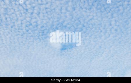 Makrelenhimmel Wolken, die aus Reihen von Cirrocumulus- oder Altocumulus-Wolken bestehen und ein welliges, kräuselndes Muster aufweisen, das dem sca von Fischen ähnelt Stockfoto